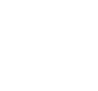 Gender-Based Violence icon in white