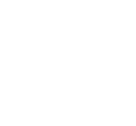 Inclusion and Belonging icon white