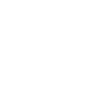 Mental Health Supports icon in white